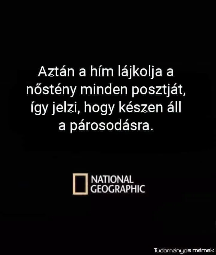 Aztán a hím lájkolja a nőstény minden posztját... Aztán a hím lájkolja a nőstény minden posztját...