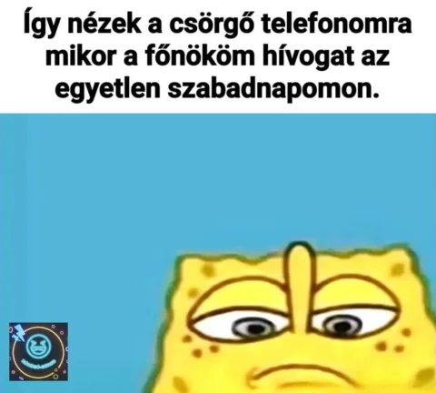 Így nézek a csörgő telefonomra...