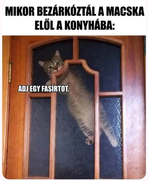Mikor bezárkóztál a macska elől a konyhába?