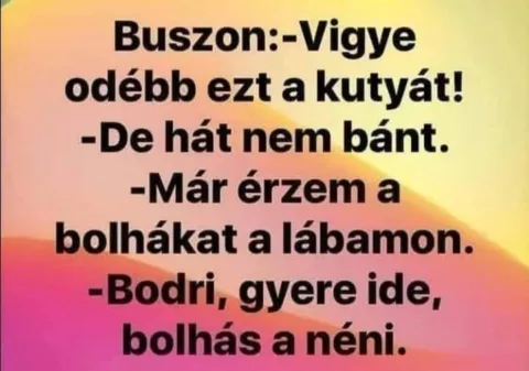 Vigye odébb ezt a kutyát!