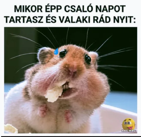 Mikor épp csaló napot tartasz és valaki rád nyit?