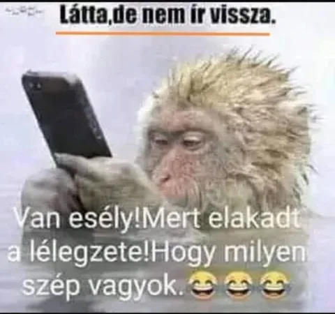 Látja, de nem ír vissza...