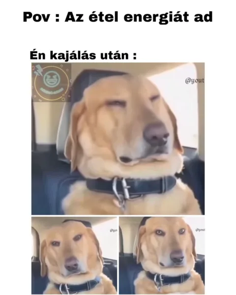 Pov: Az étel energiát ad... Pov: Az étel energiát ad...