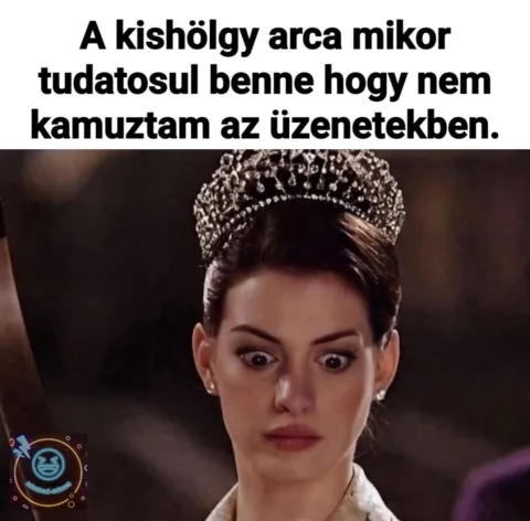 A kishölgy arca mikor tudatosul benne hogy nem kamuztam az üzenetekben
