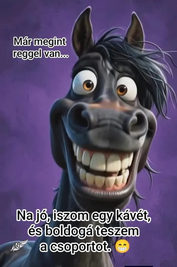 Már megint reggel van... Már megint reggel van...