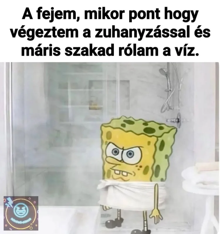 A fejem, mikor pont hogy végeztem a zuhanyzással... A fejem, mikor pont hogy végeztem a zuhanyzással...
