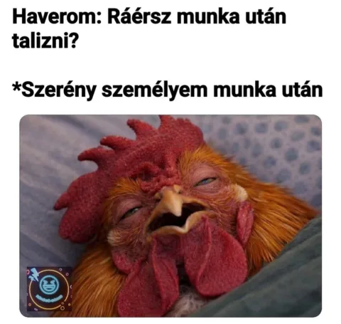 Haverom: Ráérsz munka után talizni?