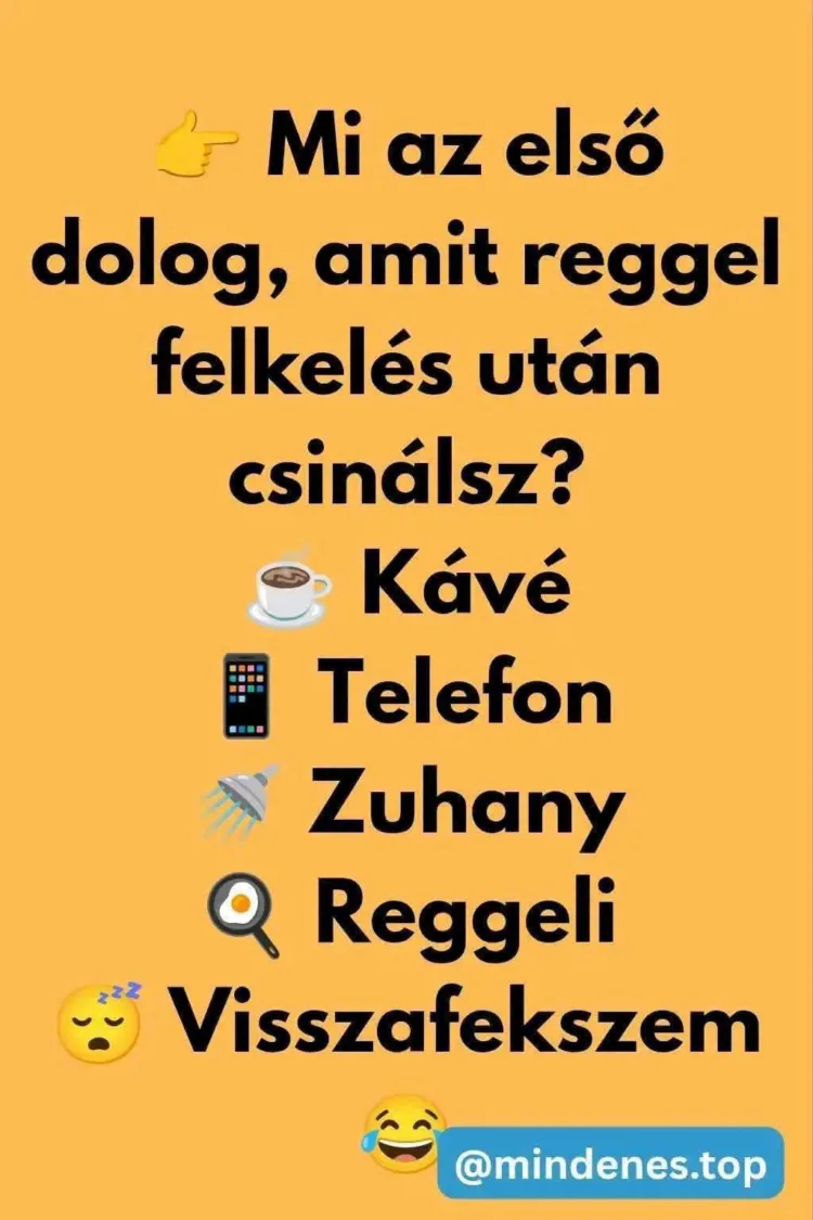 Mi az első dolog, amit reggel felkelés után csinálsz? Mi az első dolog, amit reggel felkelés után csinálsz?