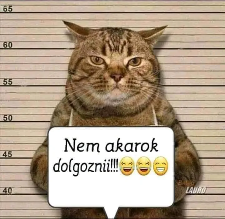 Nem akarok dolgozni!!! Nem akarok dolgozni!!!