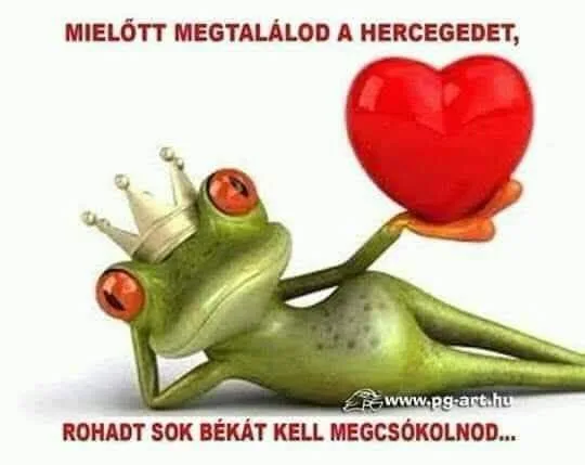 Mielőtt megtalálod a hercegedet... Mielőtt megtalálod a hercegedet...