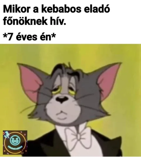 Mikor a kebapos eladó főnöknek hív?