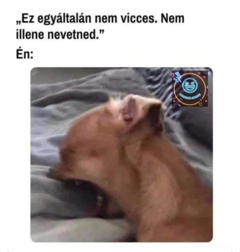 Ez egyáltalán nem vicces. Nem illene nevetned.