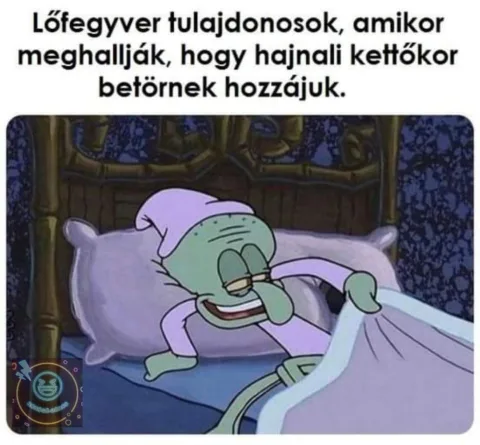 Lófegyver tulajdonosok, amikor meghallják, hogy hajnali kettőkor betörnek hozzájuk
