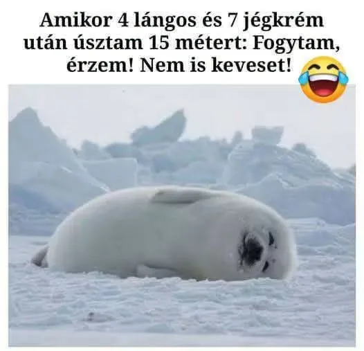 Amikor 4 lángos és 7 jégkrém után úsztam 15 métert... Amikor 4 lángos és 7 jégkrém után úsztam 15 métert...