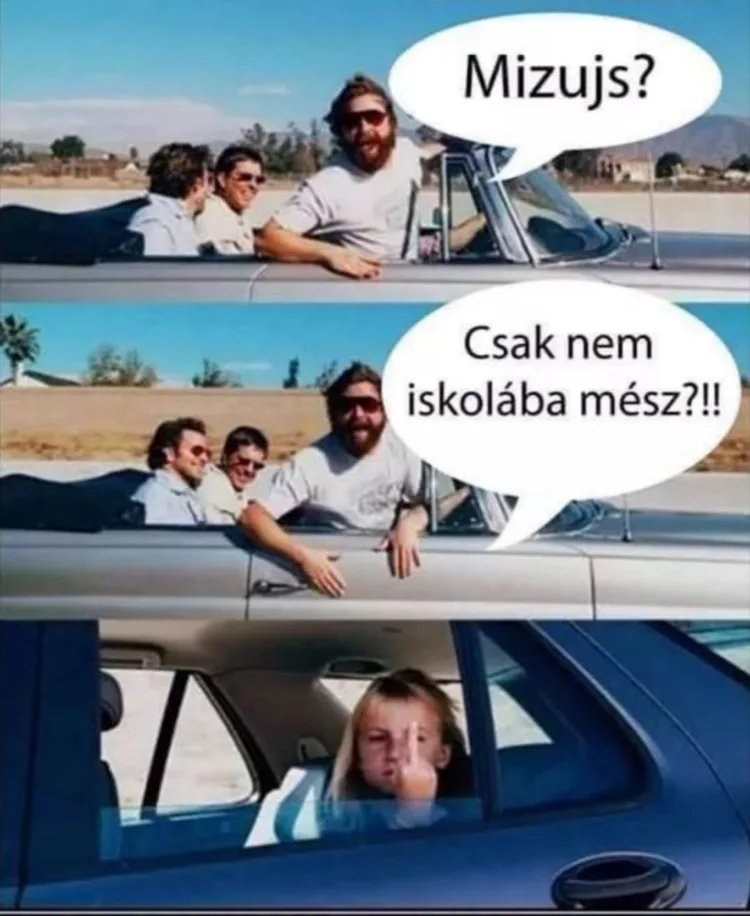 Mizujs? Mizujs?