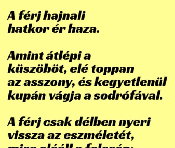 Vicc: A férj hajnali hatkor ér haza Vicc: A férj hajnali hatkor ér haza