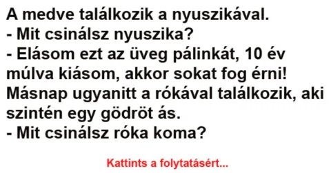 Vicc: A medve találkozik a nyuszikával –