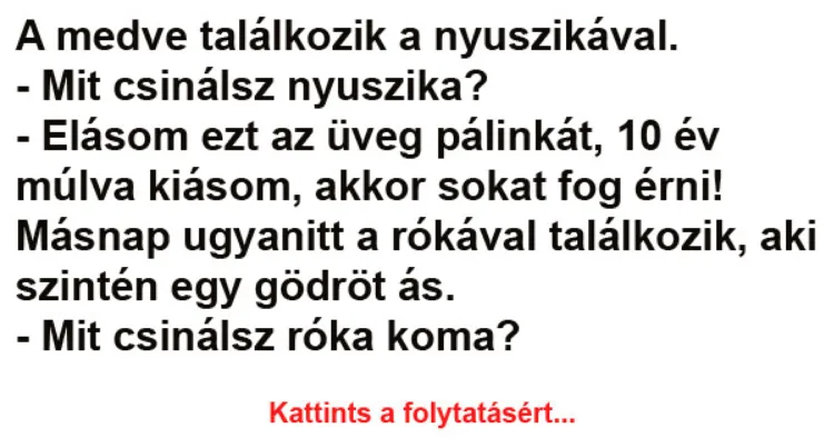 Vicc: A medve találkozik a nyuszikával - Vicc: A medve találkozik a nyuszikával –