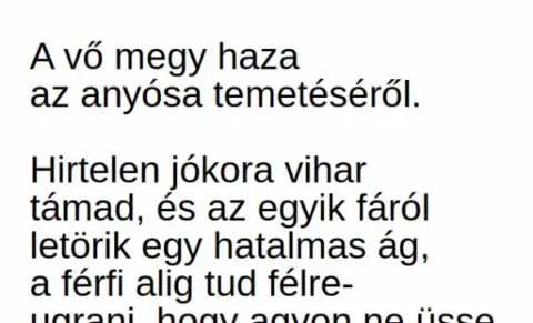 Vicc: A vő megy haza az anyósa temetéséről