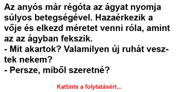 Vicc: Az anyós már régóta az ágyat nyomja súlyos betegségével Vicc: Az anyós már régóta az ágyat nyomja súlyos betegségével –