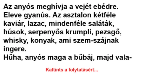 Vicc: Az anyós meghívja a vejét ebédre