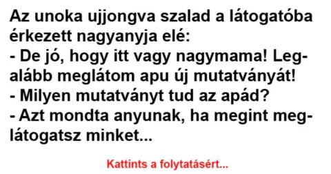 Vicc: Az unoka ujjongva szalad a látogatóba érkezett nagyanyja elé -…