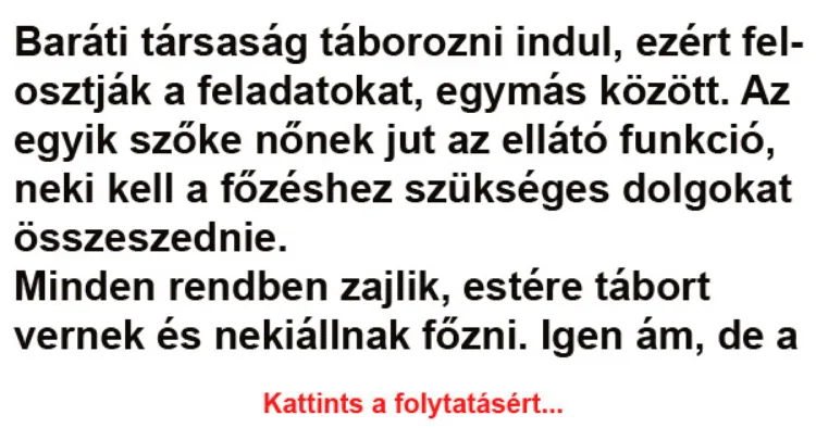 Vicc: Baráti társaság táborozni indul, ezért felosztják a feladatokat -... Vicc: Baráti társaság táborozni indul, ezért felosztják a feladatokat -…