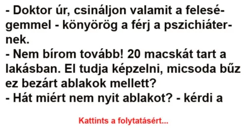 Vicc: – Doktor úr, csináljon valamit a feleségemmel –