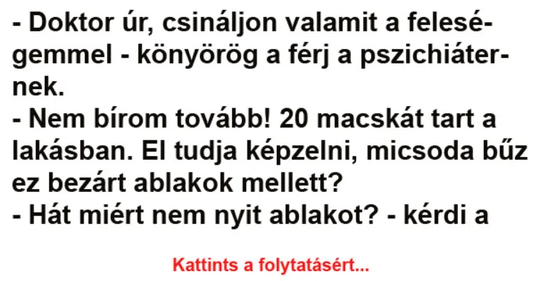Vicc: - Doktor úr, csináljon valamit a feleségemmel - Vicc: – Doktor úr, csináljon valamit a feleségemmel –