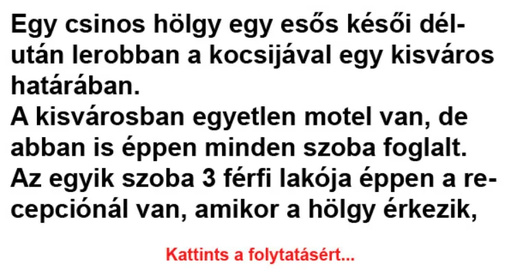 Vicc: Egy csinos hölgy egy esős késői délután lerobban a Vicc: Egy csinos hölgy egy esős késői délután lerobban a kocsijával egy…