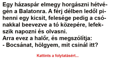 Vicc: Egy házaspár elmegy horgászni hétvégén a Balatonra - Vicc: Egy házaspár elmegy horgászni hétvégén a Balatonra –