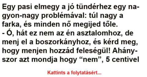 Vicc: Egy pasi elmegy a jó tündérhez egy nagyon-nagy problémával -…
