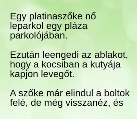 Vicc: Egy platinaszőke nő leparkol egy pláza parkolójában