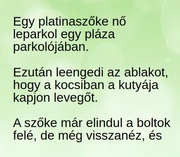 Vicc: Egy platinaszőke nő leparkol egy pláza parkolójában Vicc: Egy platinaszőke nő leparkol egy pláza parkolójában