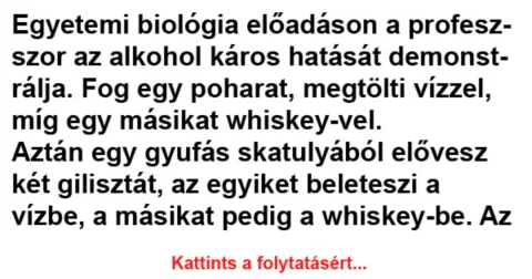 Vicc: Egyetemi biológia előadáson a professzor az alkohol káros hatását…