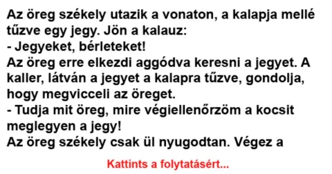 Vicc: Jön a kalauz: – Jegyeket, bérleteket! –