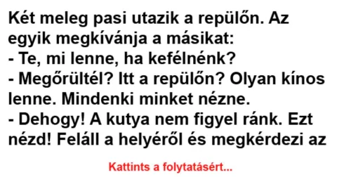 Vicc: Két meleg pasi utazik a repülőn. Az egyik megkívánja a másikat -…