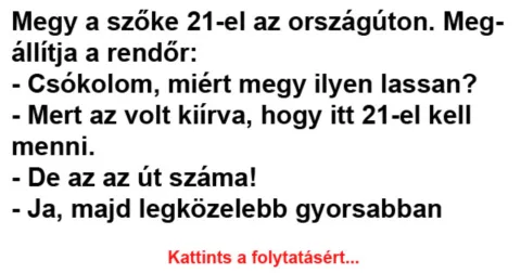 Vicc: Megy a szőke 21-el az országúton. Megállítja a rendőr Vicc: Megy a szőke 21-el az országúton. Megállítja a rendőr –