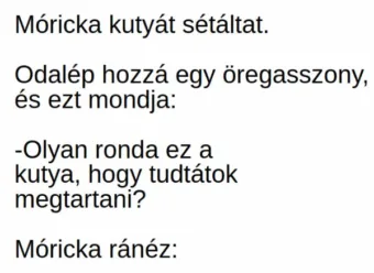 Vicc: Móricka kutyát sétáltat. Odalép hozzá egy öregasszony, és ezt... Vicc: Móricka kutyát sétáltat. Odalép hozzá egy öregasszony, és ezt…