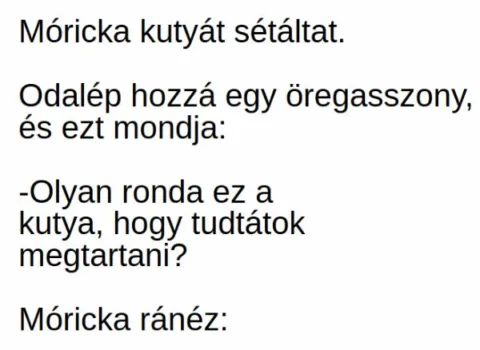 Vicc: Móricka kutyát sétáltat. Odalép hozzá egy öregasszony, és ezt... Vicc: Móricka kutyát sétáltat. Odalép hozzá egy öregasszony, és ezt…