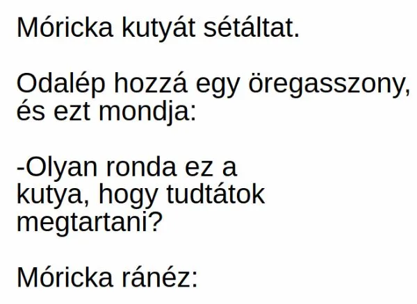 Vicc: Móricka kutyát sétáltat. Odalép hozzá egy öregasszony, és ezt... Vicc: Móricka kutyát sétáltat. Odalép hozzá egy öregasszony, és ezt…