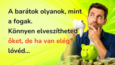 A barátok olyanok, mint a fogak. Könnyen elveszítheted őket, de ha van elég lóvéd...