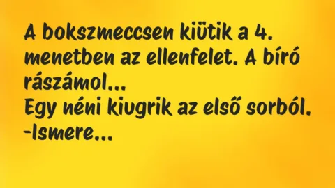 Vicc: A bokszmeccsen kiütik a 4. menetben az ellenfelet. A bíró rászámol…