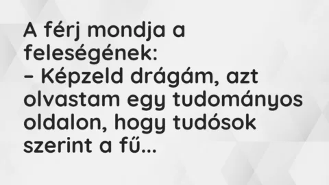 Vicc: A férj mondja a feleségének…