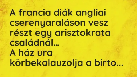 Vicc: A francia diák angliai cserenyaraláson vesz részt egy arisztokrata…