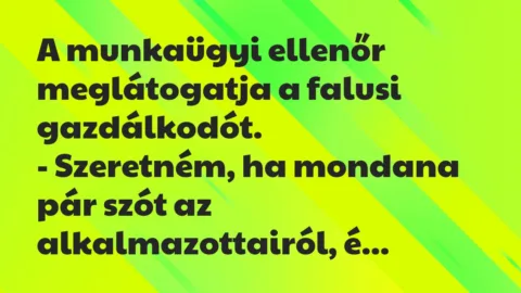 Vicc: A munkaügyi ellenőr meglátogatja a falusi gazdálkodót… Vicc: A munkaügyi ellenőr meglátogatja a falusi gazdálkodót…
