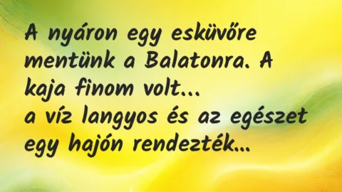 Vicc: A nyáron egy esküvőre mentünk a Balatonra. A kaja finom volt…