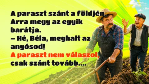 A paraszt szánt a földjén. Arra megy az egyik barátja. – Hé, Béla, meghalt az anyósod! A paraszt nem válaszol, csak szánt tovább....