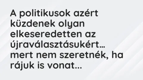 Vicc: A politikusok azért küzdenek olyan elkeseredetten az újraválasztásukért…