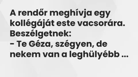Vicc: A rendőr meghívja egy kollégáját este vacsorára. Beszélgetnek…